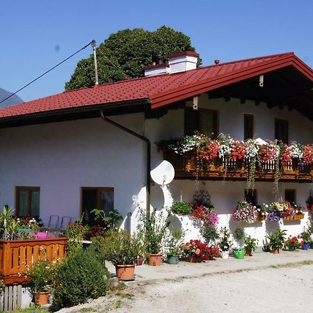 Bio-Bauernhof Greiml Daire Grobming Dış mekan fotoğraf