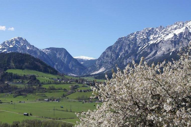 Bio-Bauernhof Greiml Daire Grobming Dış mekan fotoğraf