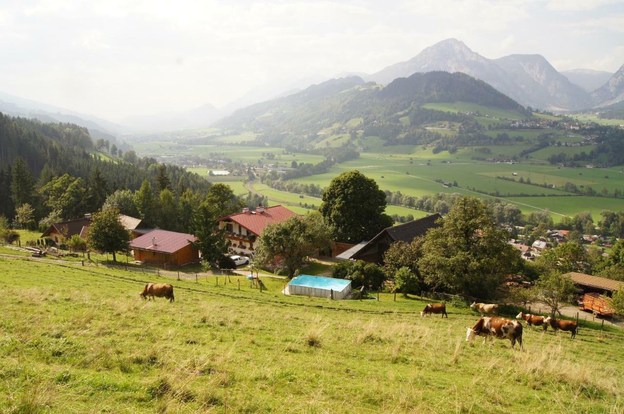 Bio-Bauernhof Greiml Daire Grobming Dış mekan fotoğraf